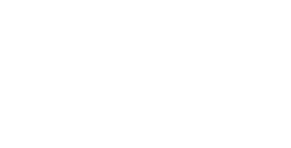 The CORE